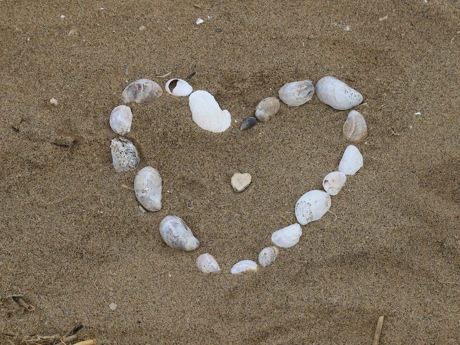 Small white shells arranged in the shape of a heart on damp sand, echoing the longings and tenderness carried through the season. Small white shells arranged in the shape of a heart on damp sand, echoing the longings and tenderness carried through the season.