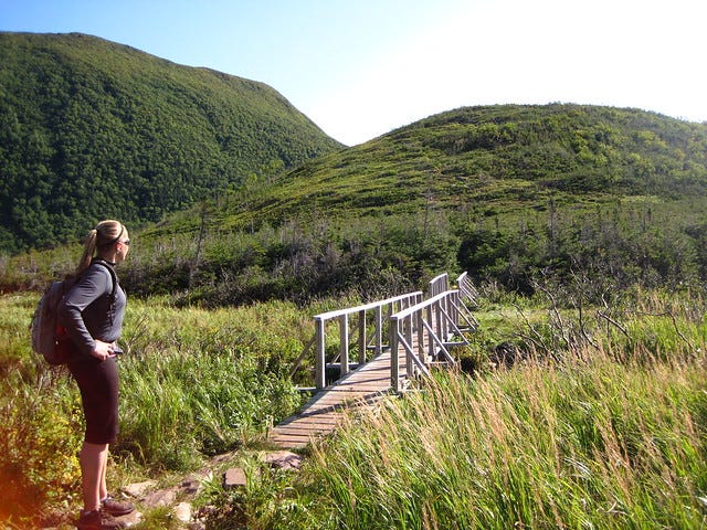 'Hiking in Gros Morne National Park' by Natalie Lucier, released on Flickr under the Creative Commons Attribution License (https://creativecommons.org/licenses/by/2.0/), found via Wylio Hiking in Gros Morne National Park from Flickr via Wylio