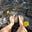 Avatar de Diving within