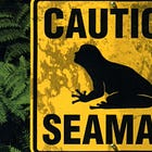 È successo il 29 luglio: Seaman e...