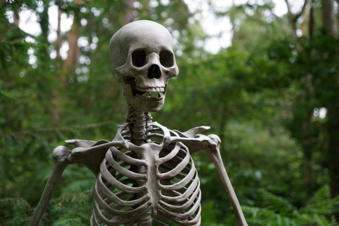 A skeleton smiling in the woods A skeleton smiling in the woods