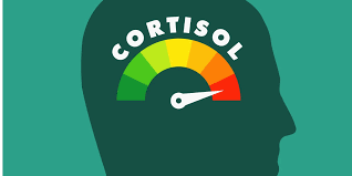 Stress and Mental Health ...