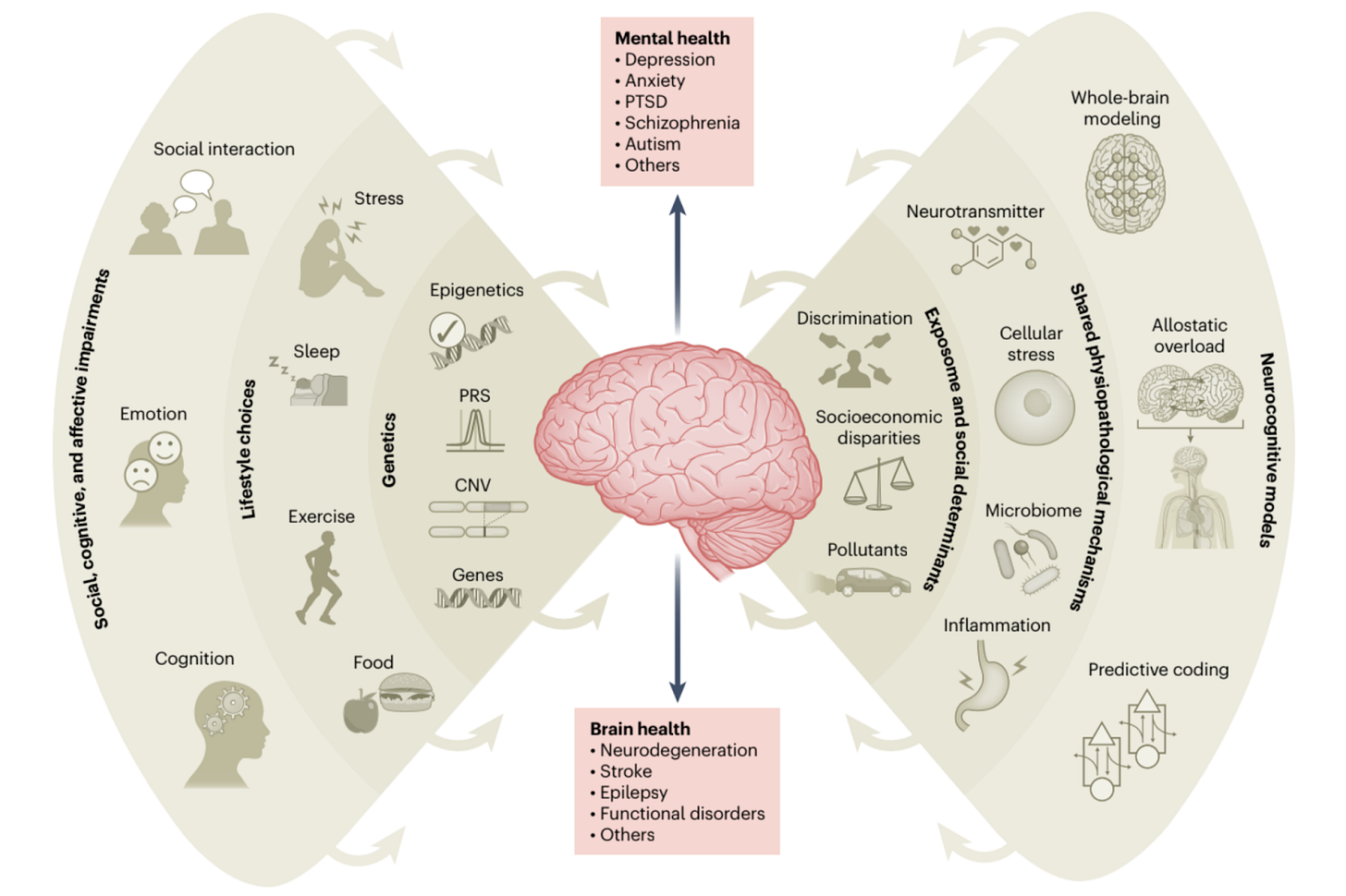 Infographic of how interconnected the mind and body is. Infographic of how interconnected the mind and body is.
