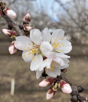 Notes from the Field