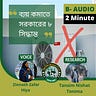 B- AUDIO by MCPSC Business Club