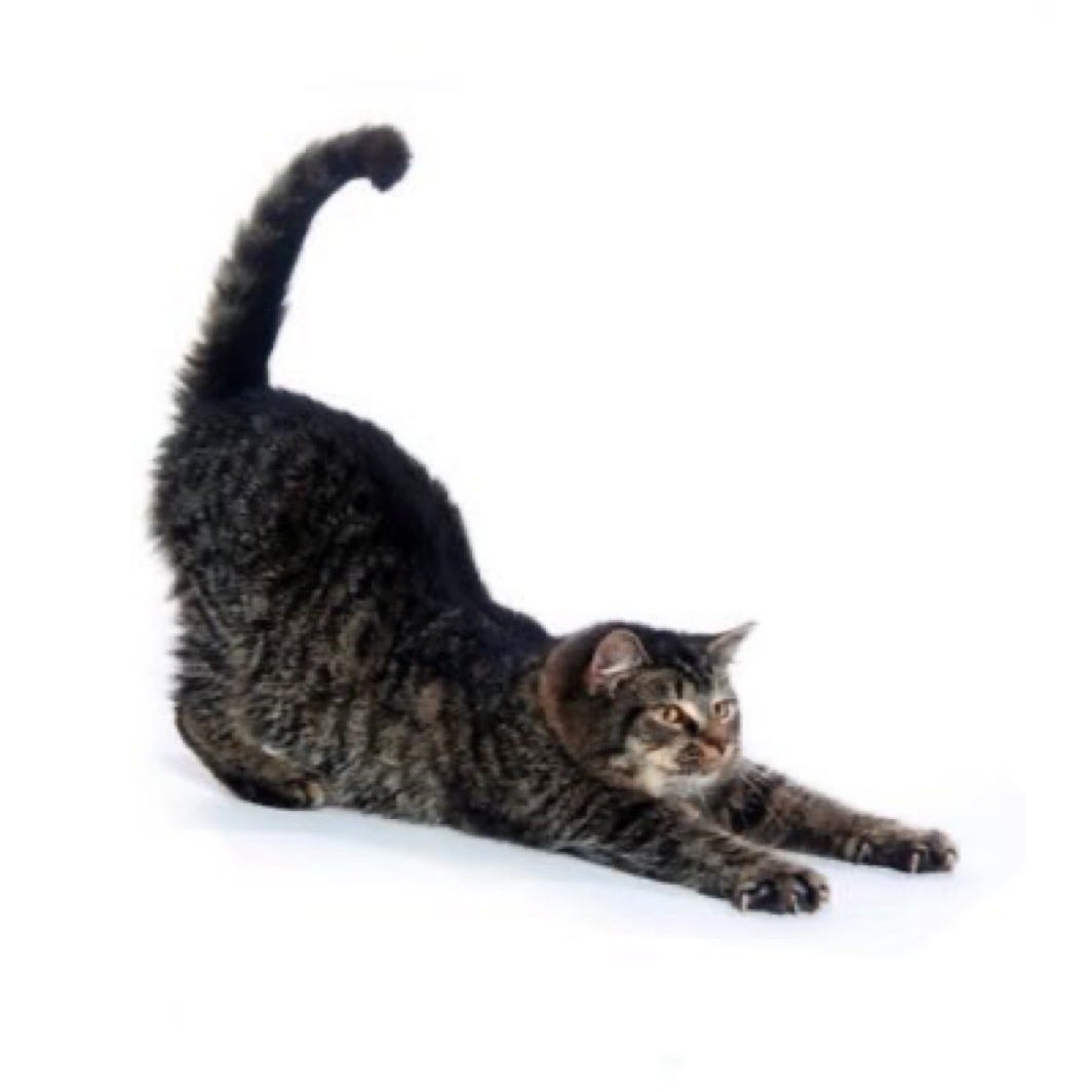 Artwork for kenny’s Substack