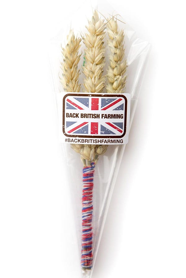 NFU calls for MPs and farmers to support Back British Farming Day 2020 |  OvertheCounter