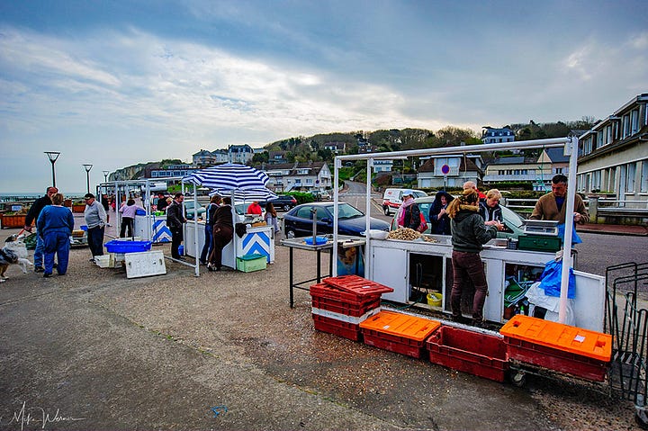 Harbor and fish sales