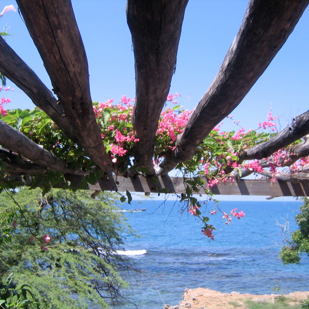 Bertrand Laurent’s Substack