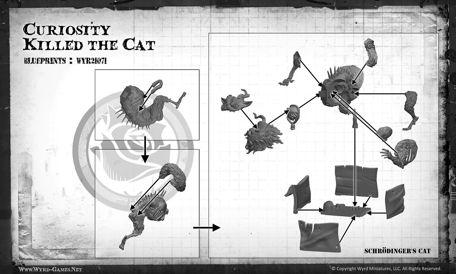 WYR21071-CKtC-SchrodingersCat.jpg