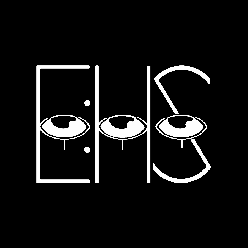 Artwork for Information Regarding E:HS