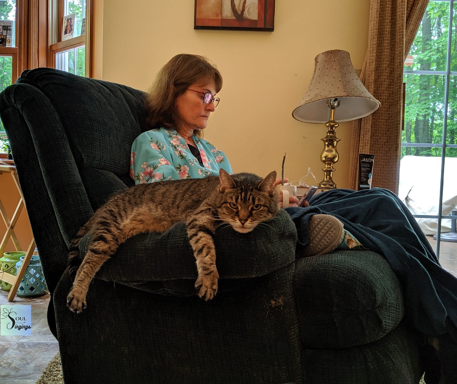 A Cat Named Jazzy