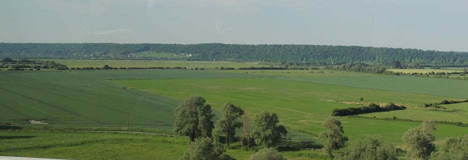 A view of a green field from a train

AI-generated content may be incorrect.