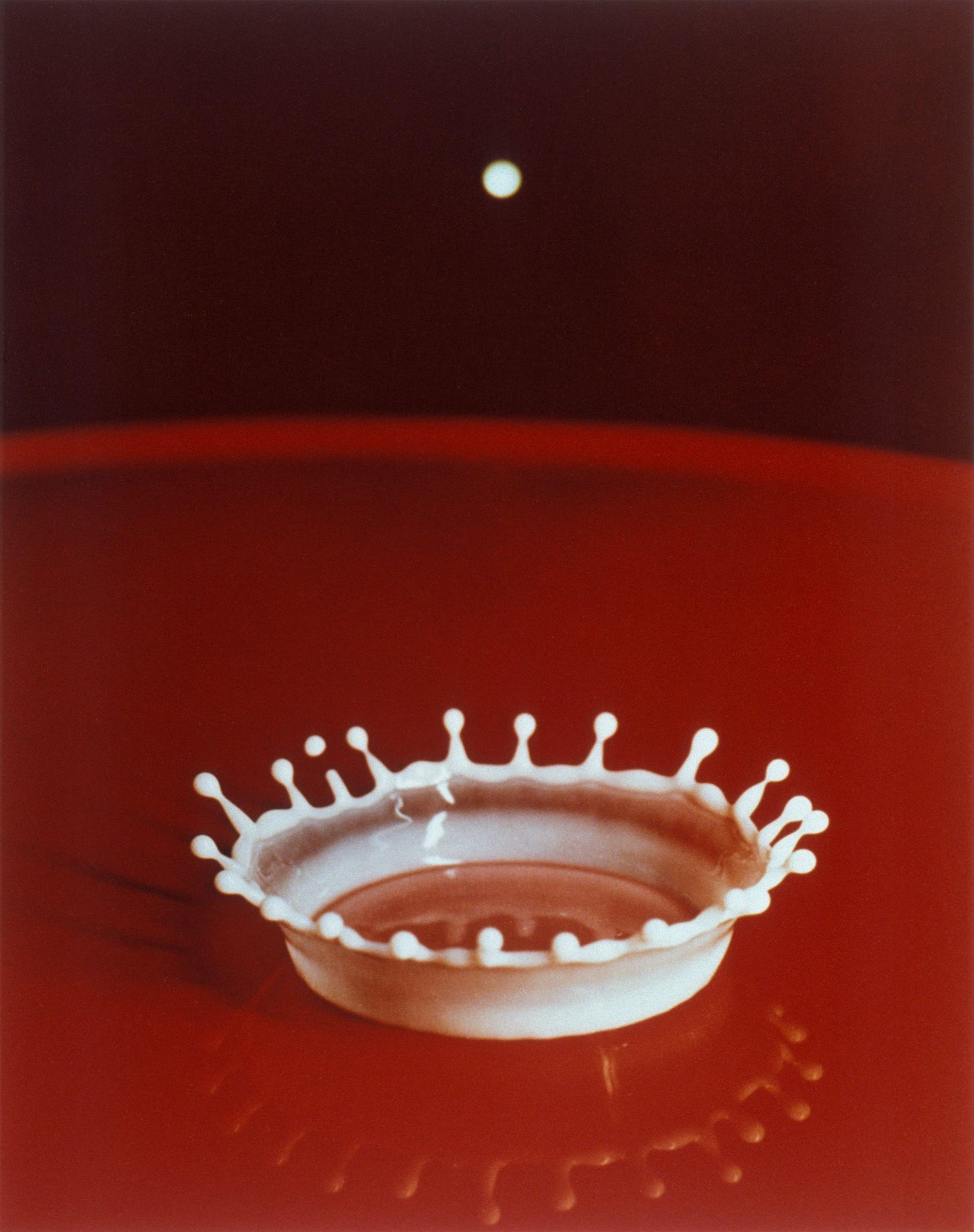 Milk Drop Coronet - Wikipedia Milk Drop Coronet - Wikipedia
