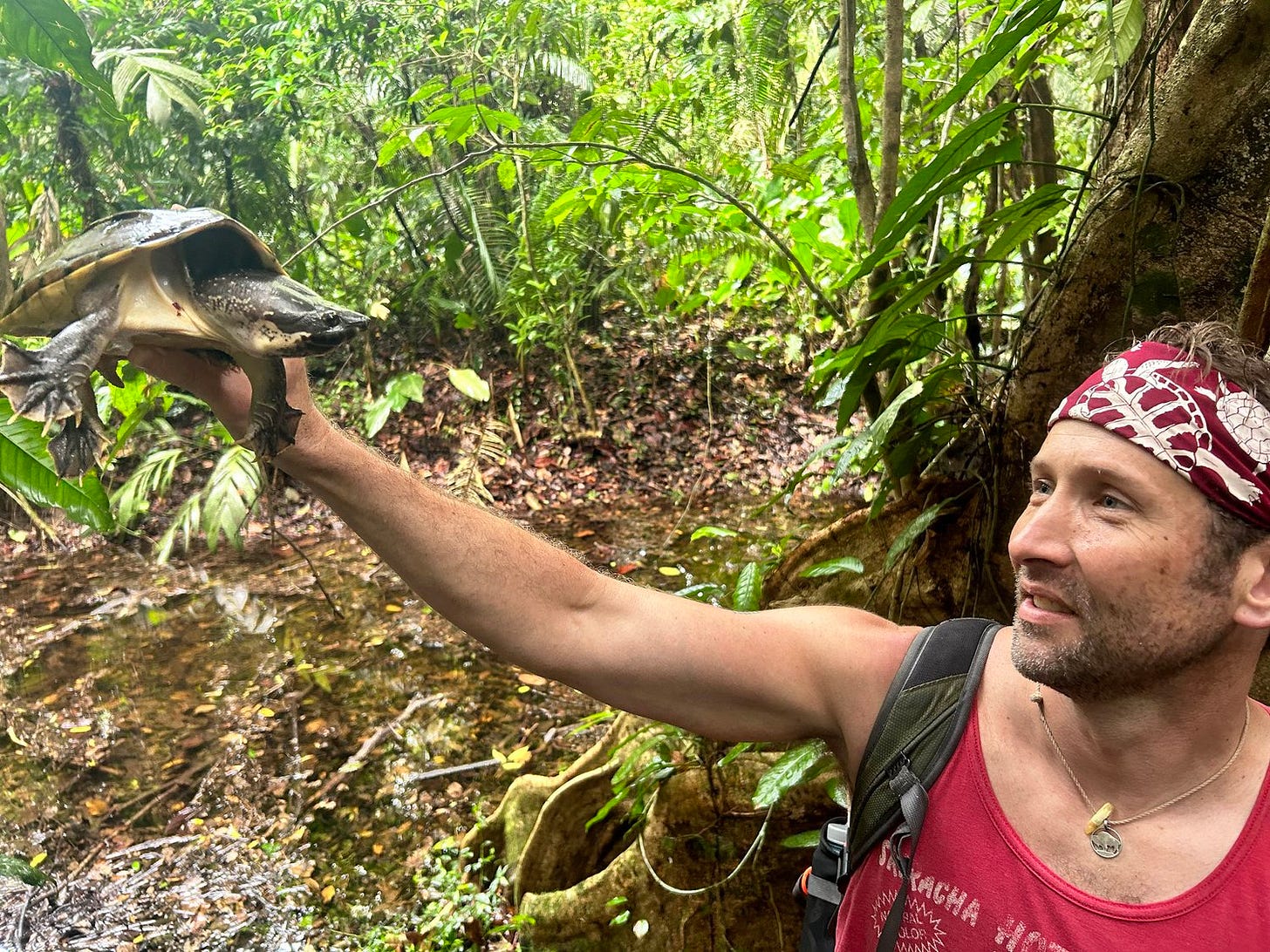 A person holding a turtle in his hand
Description automatically generated A person holding a turtle in his hand
Description automatically generated