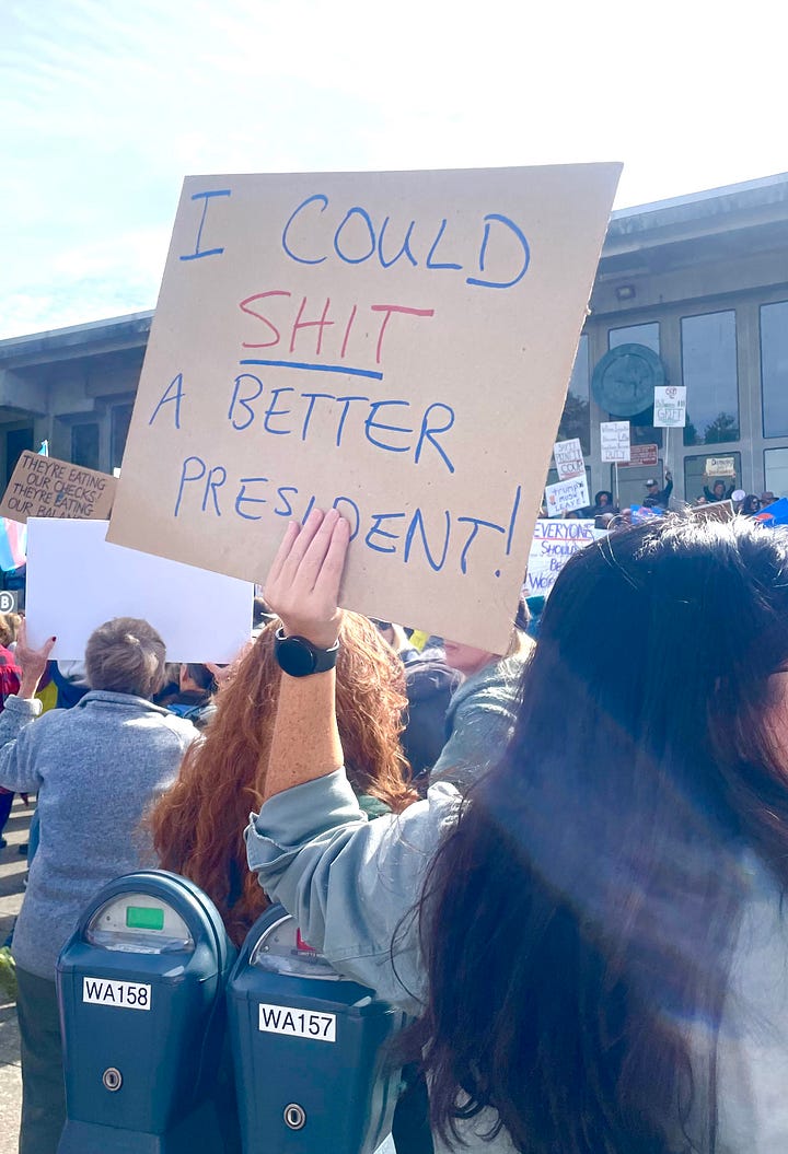 Signs say "I could shit a better president," large crowd and sign says: "how bad does it need to get for you to protest?" Sign says: Fuck this shit. Sign says: "Is Trump still president, asked Piglet. Yes, replied Poo. Fuck, said Piglet.