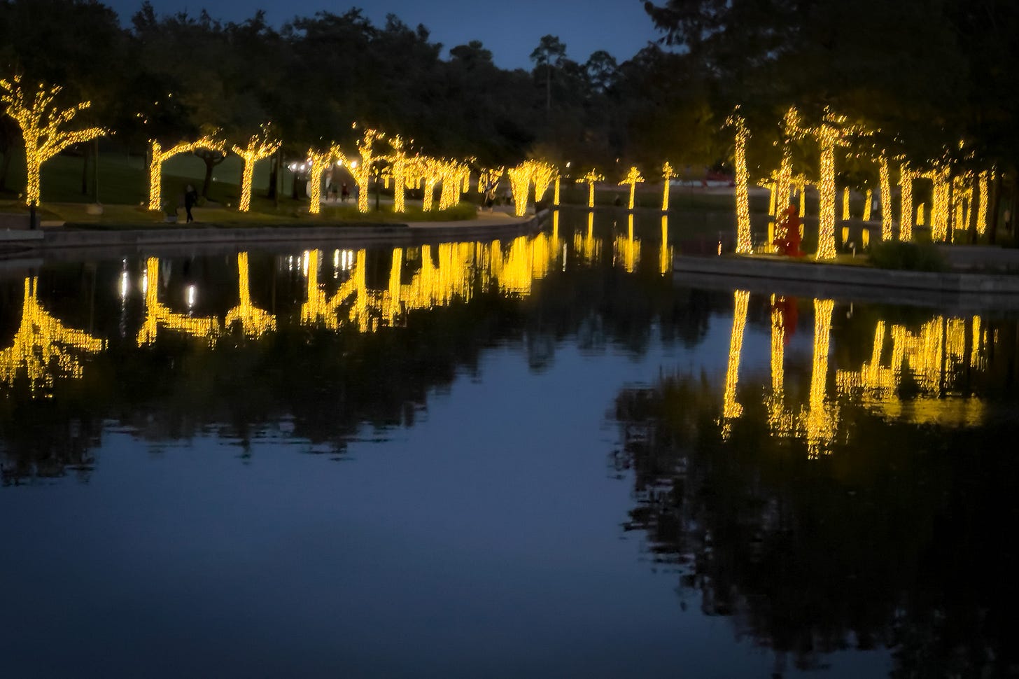 A waterway lined with trees; their trunks strung with tiny white lights;their reflection in the water