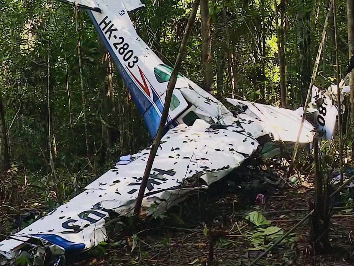 The Lost Children review – extraordinary story of missing kids in the  Colombian rainforest | Movies | The Guardian