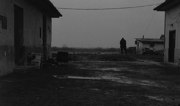 image003 (7)