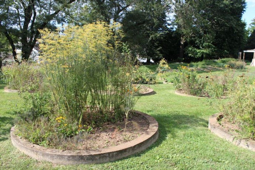 Howard plots at Rodale Founders Farm