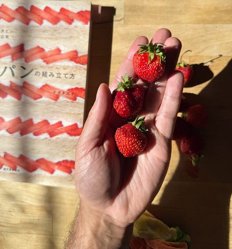 Strawberry sandwich being assembled