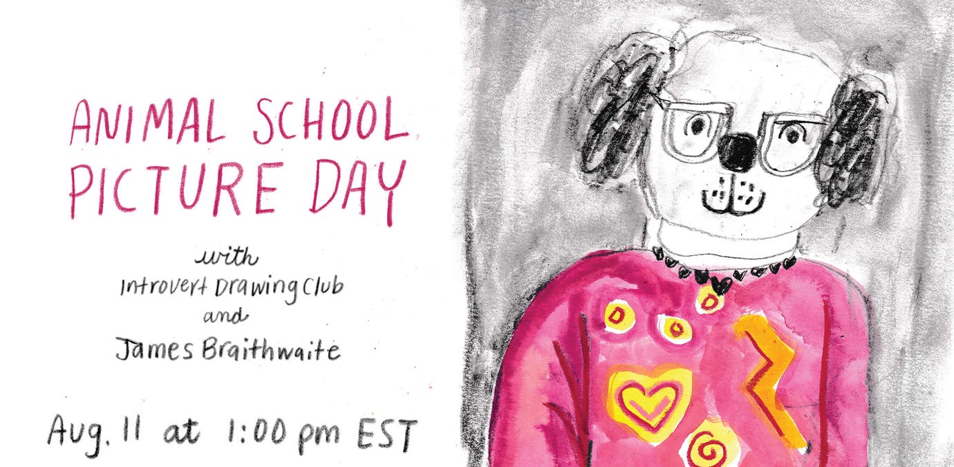 animal school picture day drawing session animal school picture day drawing session