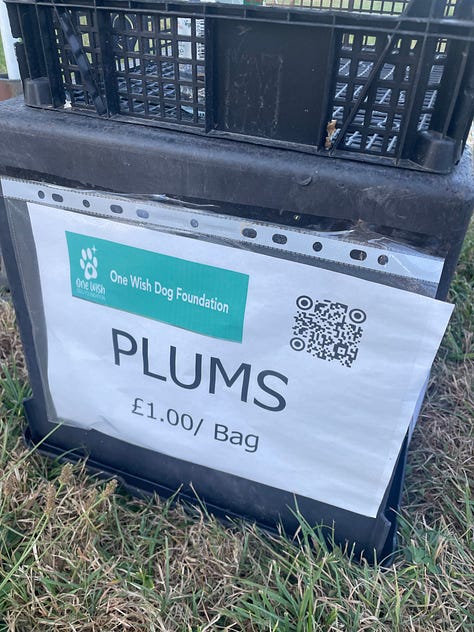 A red apple nestled in green leaves; a white sign on a black box reading 'Plums: £1.00/Bag'; green apples in a green bag, on dry yellow grass