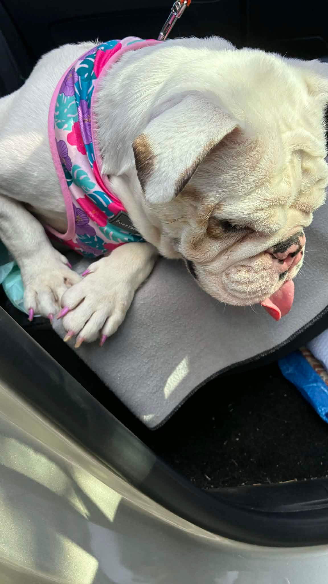 No description available.