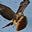 ancienthangover@gmail.com's avatar