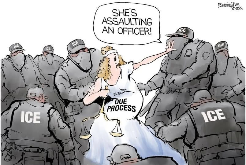 May be an image of text that says 'ICE SHE'S ASSAULTING AN OFFICER! Bramhall'25 NYDN ICE ICE ICE ICE ICE DUE PROCESS ICE'