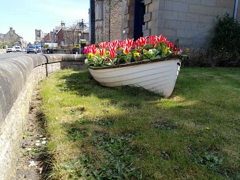 Gallery of North Berwick landscape