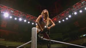 total divas nikki bella 2016 total divas nikki bella 2016