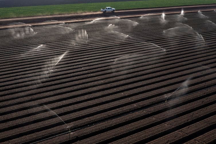 An aerial view of a field with sprinklers spraying water on the crops.