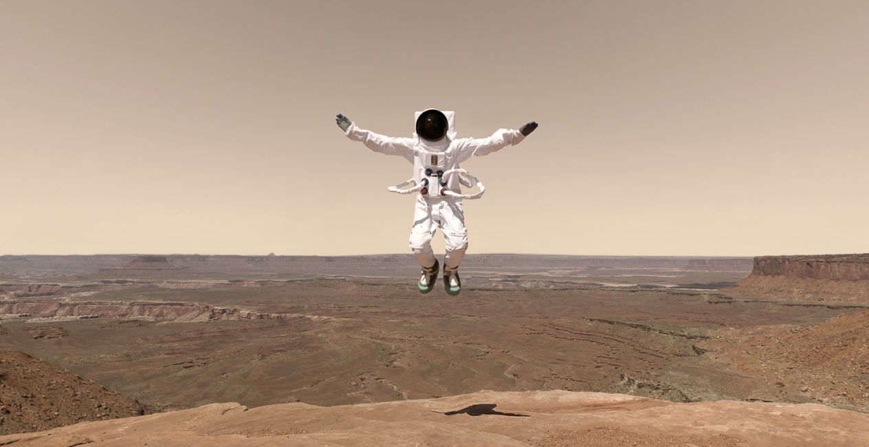 Mars tourists