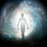 Syntropic Living by Syntropic Wisdom
