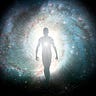 Syntropic Living by Syntropic Wisdom