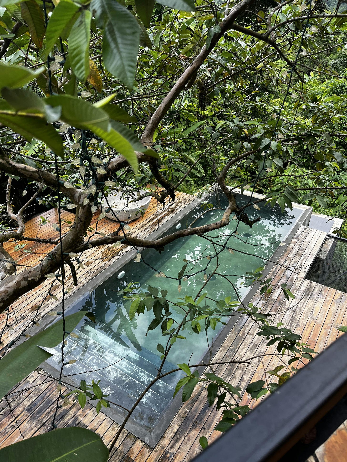 038: In Search of Freedom, or Free from Searching? 038: In Search of Freedom, or Free from Searching?