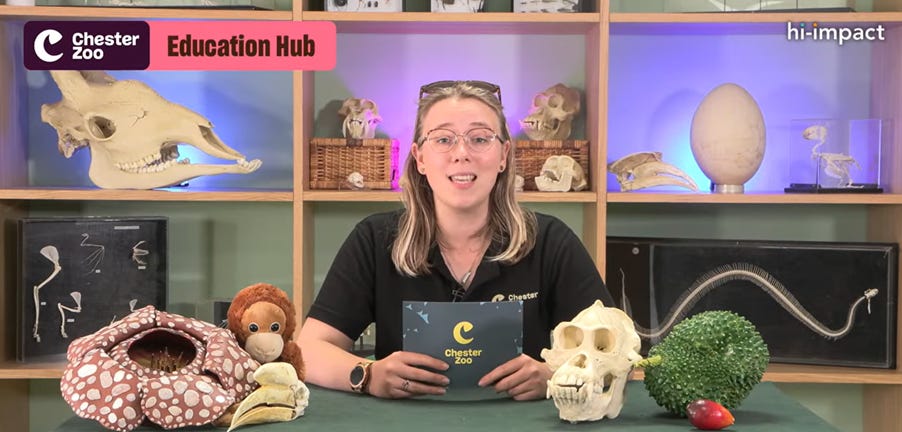 A presenter surrounded by animal props.