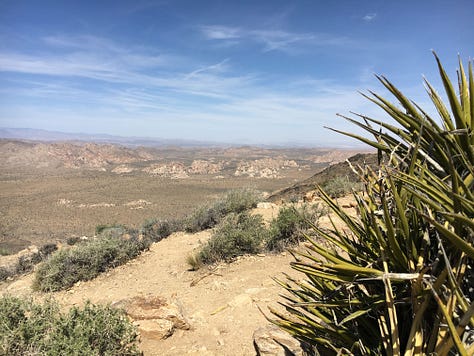 3 photos reaching the top in Joshua Tree NP, by Sabrina Simpson