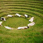 035: Labyrinths, Brazilian design, and tenderness as freedom