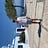 Boy in the wild