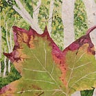 What is PB Shelley's Vision of Change and 'Creative Destruction'?
