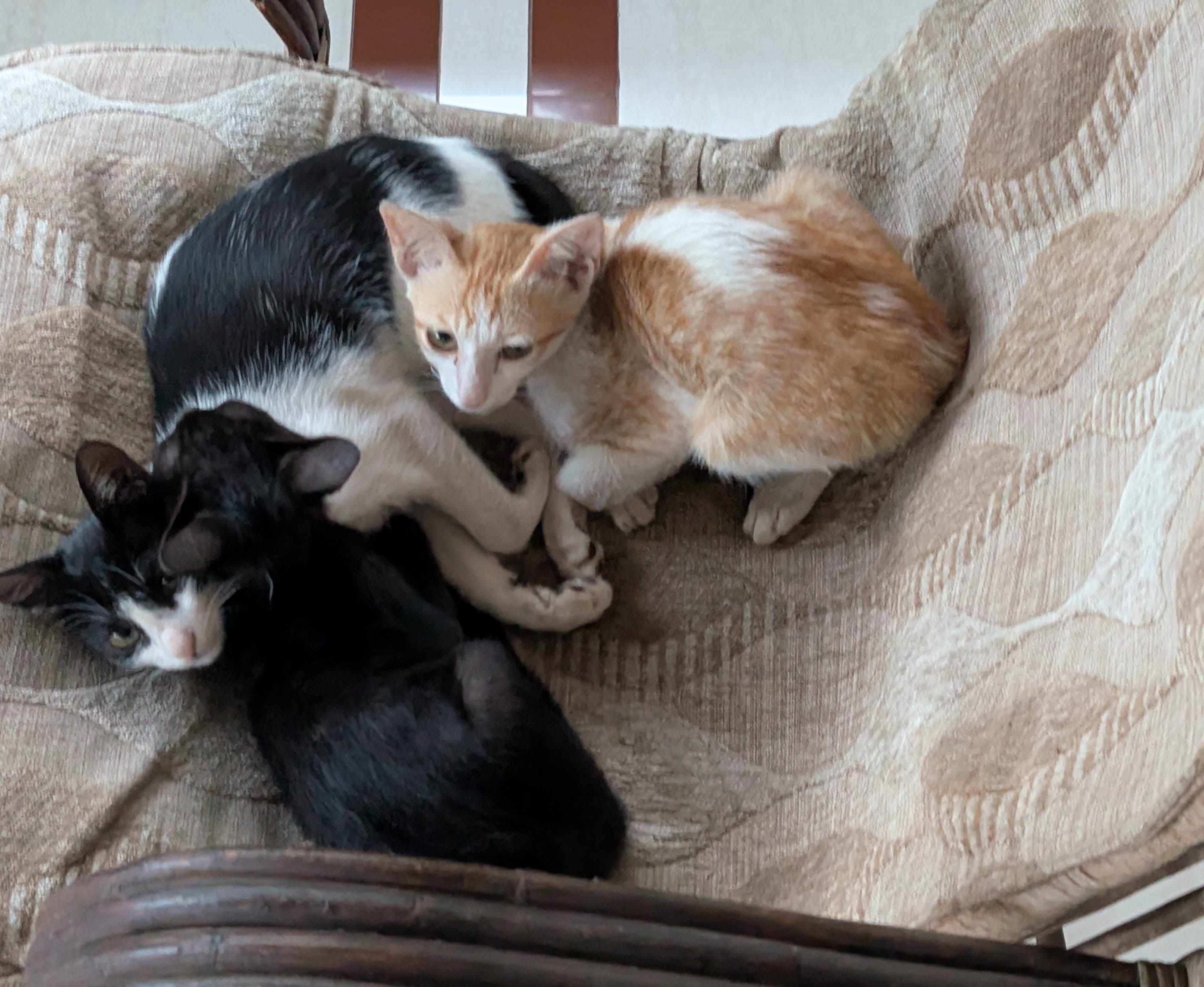 How u do anything is how u do everything