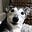 Amy Kerr's avatar