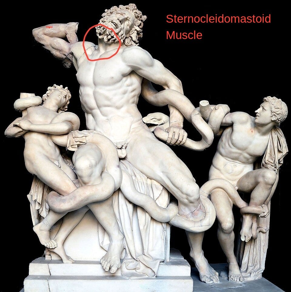 File:Laocoon and His Sons black.jpg
