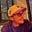 Sean Blom's avatar