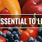 My Whole30 Journey To Reset My Health!