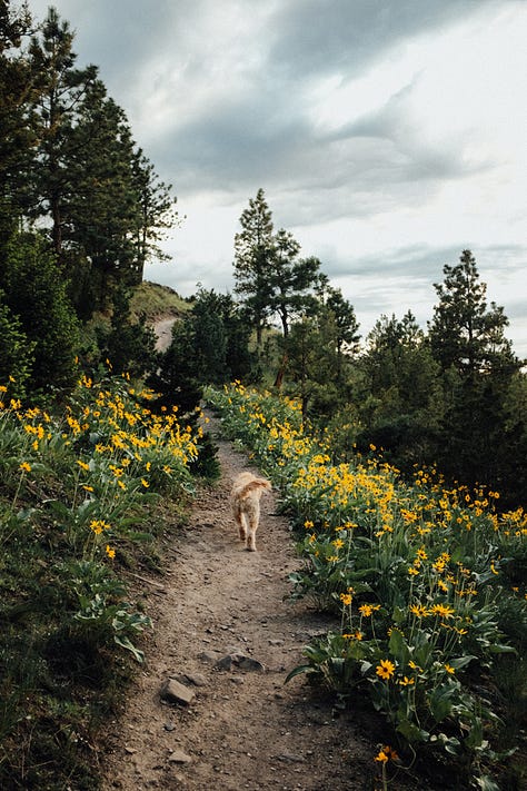Fuji photos of life in Montana and beyond by Tyler Knott Gregson
