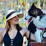 Don't Be a Dick to Your Dog