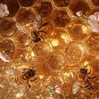 The Birds & the Bees